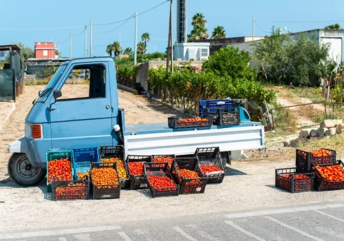 small-italian-apo-truck-with-tomatoes-farmer-sale-2026-01-05-05-28-12-utc